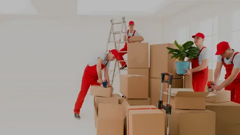 Movers and Packers in Dubai A Professional Guide