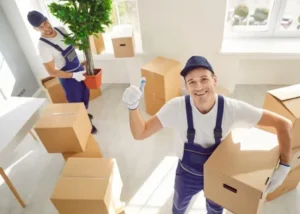Common Services Offered by Movers in Dubai