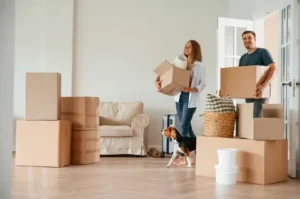Key Services Provided by Apartment Movers